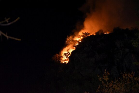 200324_Waldbrand_Absam006.jpg  