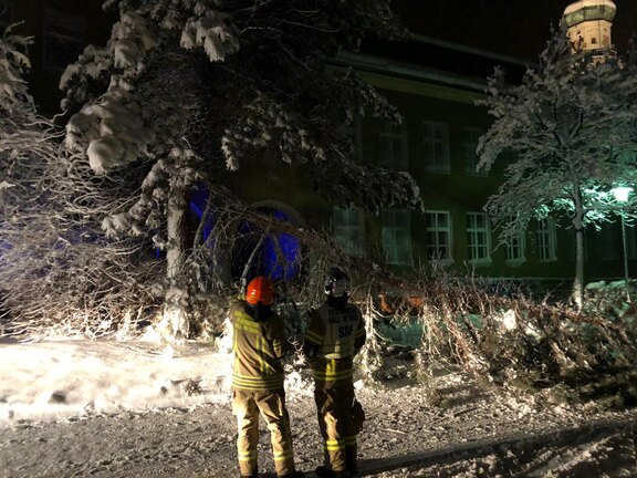 210114_Sammelbericht_Schnee004.JPG  