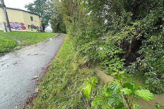 230828_Hochwasser005.jpg  