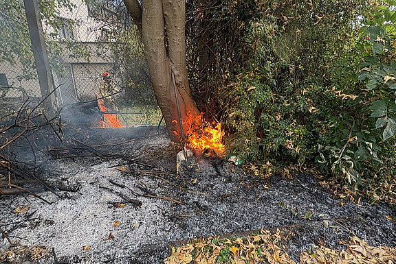 251020_Brand_im_Freien003.jpeg  
