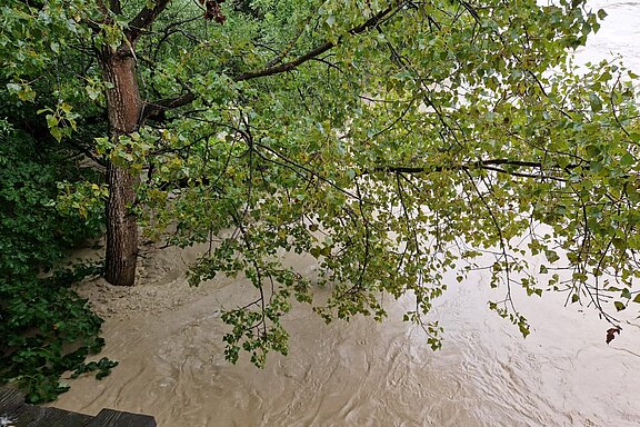 230828_Hochwasser019.jpg  